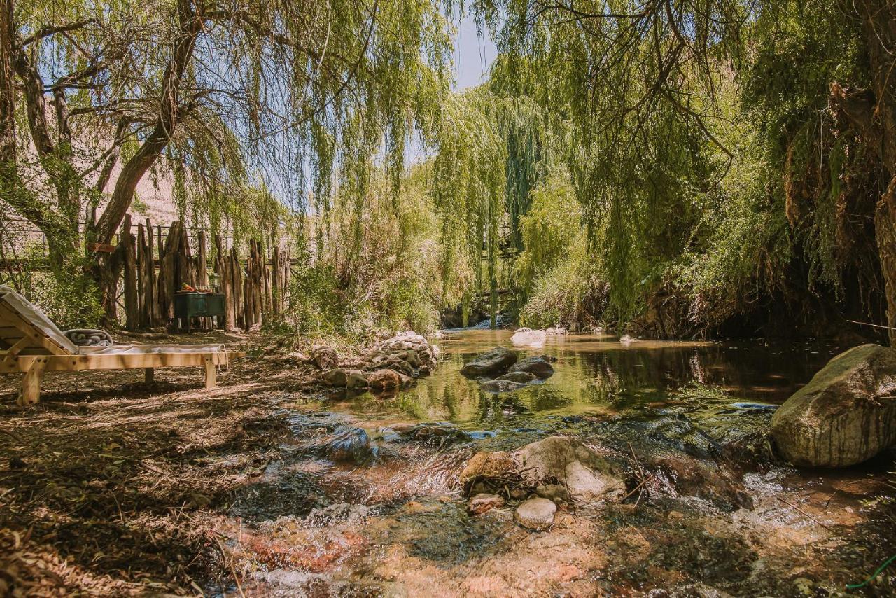 Hotel Vivelo Elqui Landscape Horcón Kültér fotó
